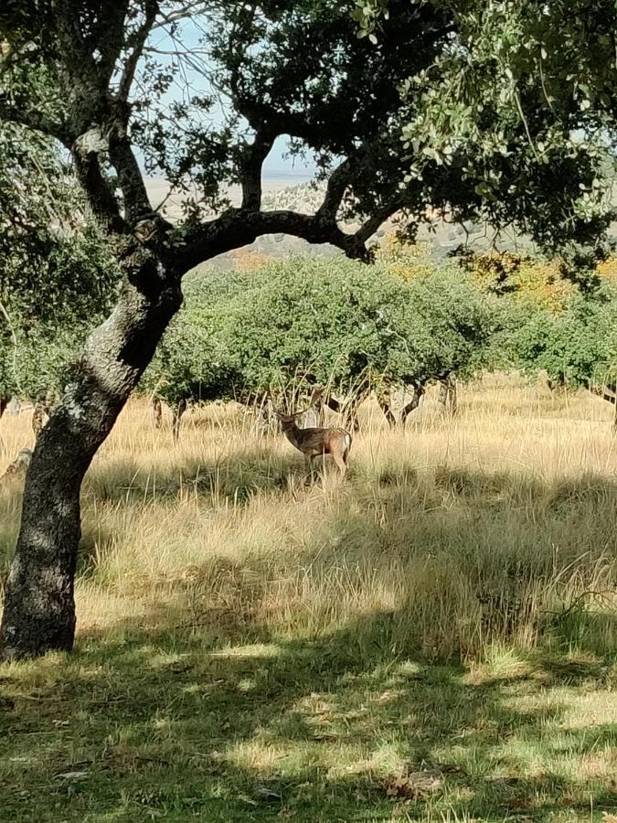 Cigueenas De Navillas Country house